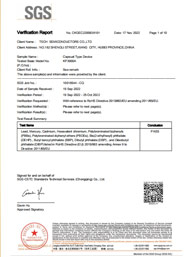 CKG22-008381-01